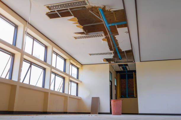 Best Basement water damage restoration  in Wofford Heights, CA