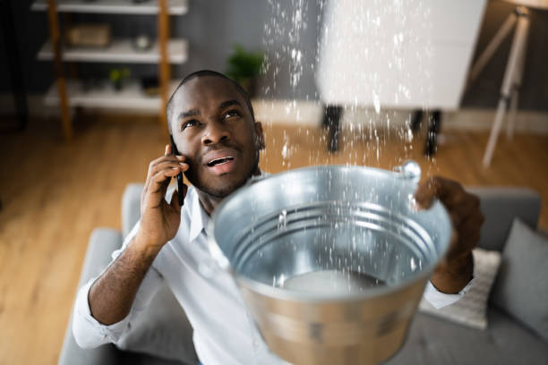 Best Local water damage restoration  in Wofford Heights, CA