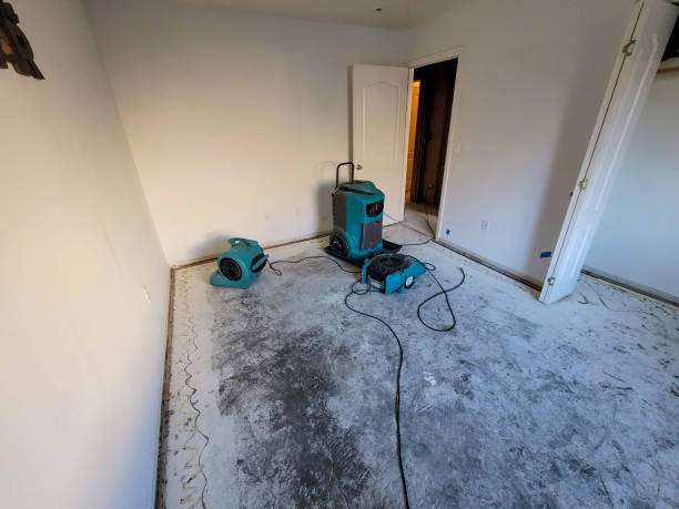 Best 24-hour water damage restoration  in Wofford Heights, CA