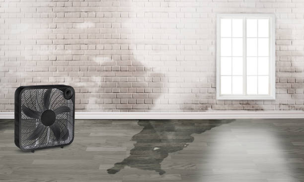 Best Sewage cleanup and water damage restoration  in Wofford Heights, CA