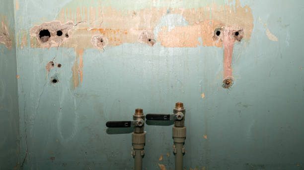 Best 24/7 water damage repair  in Wofford Heights, CA