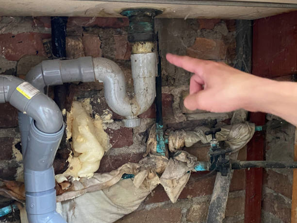 Best Flooded house restoration  in Wofford Heights, CA