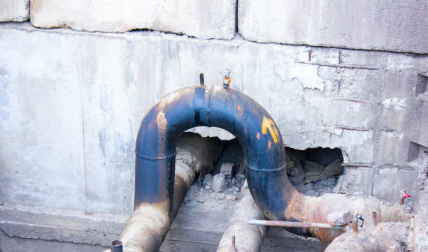 Best Carpet water damage restoration  in Wofford Heights, CA