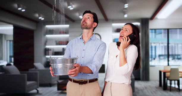 Best Mold removal after water damage  in Wofford Heights, CA